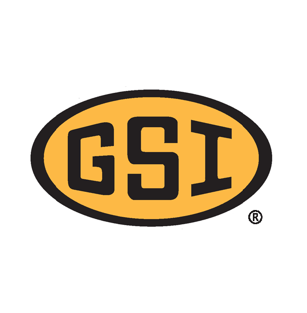 GSI